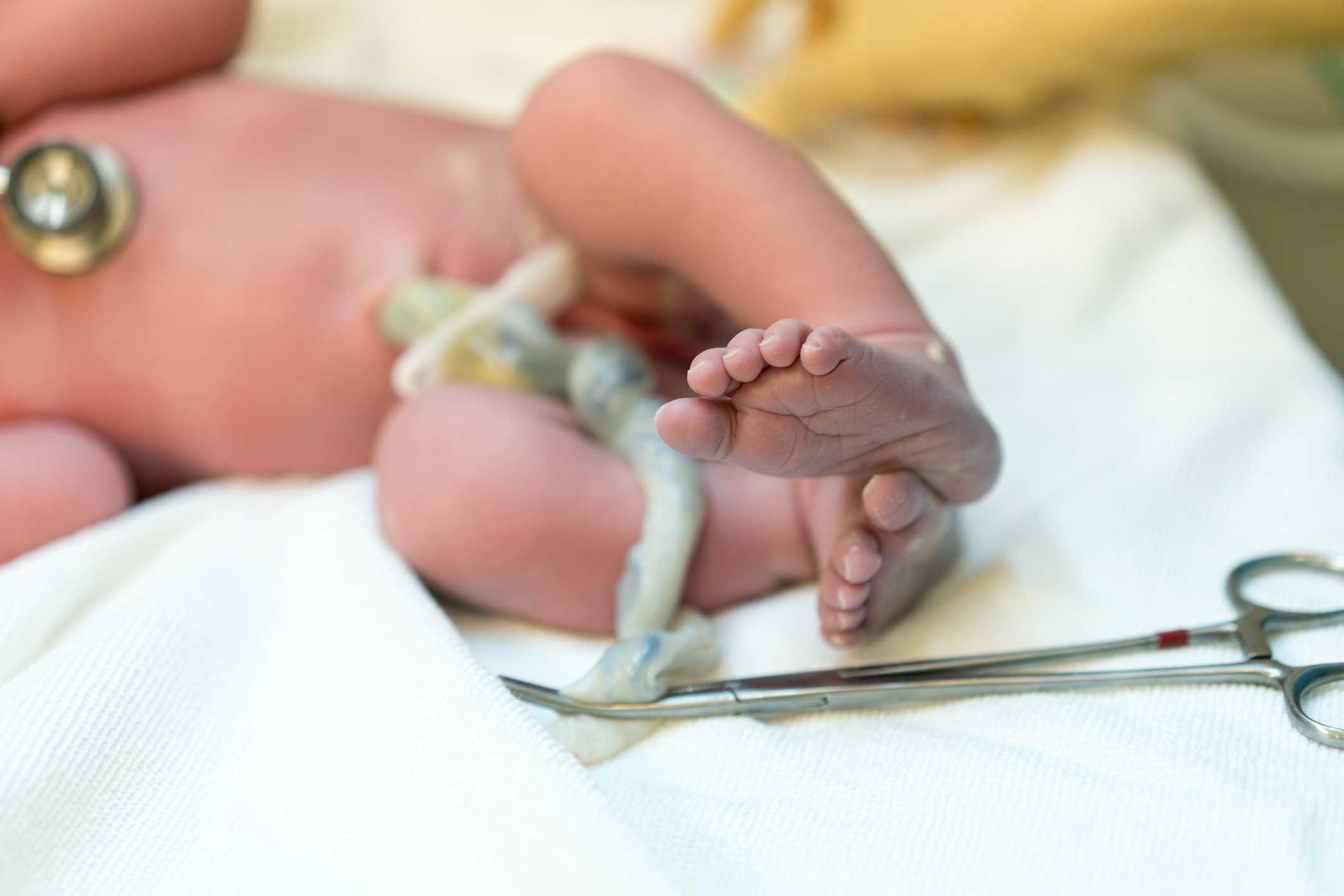 Cord Blood